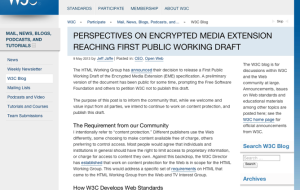 perspectives-on-encrypted-media-extension-reaching-first-public-working-draft-|-w3c-blog-1024x768